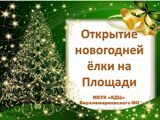 Открытие новогодней ёлки на площади