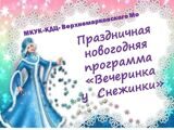 Праздничная новогодняя программа "Вечеринка у Снежинки"